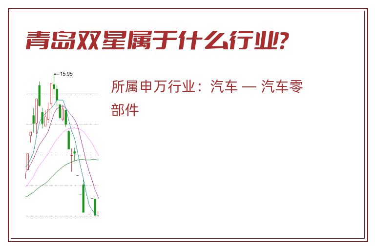 青岛双星属于什么行业？