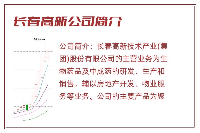 长春高新公司简介
