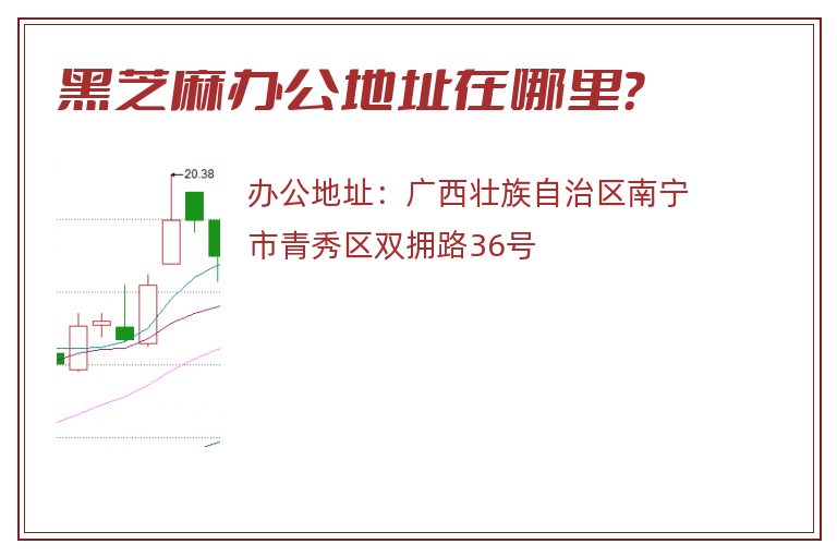 黑芝麻办公地址在哪里？