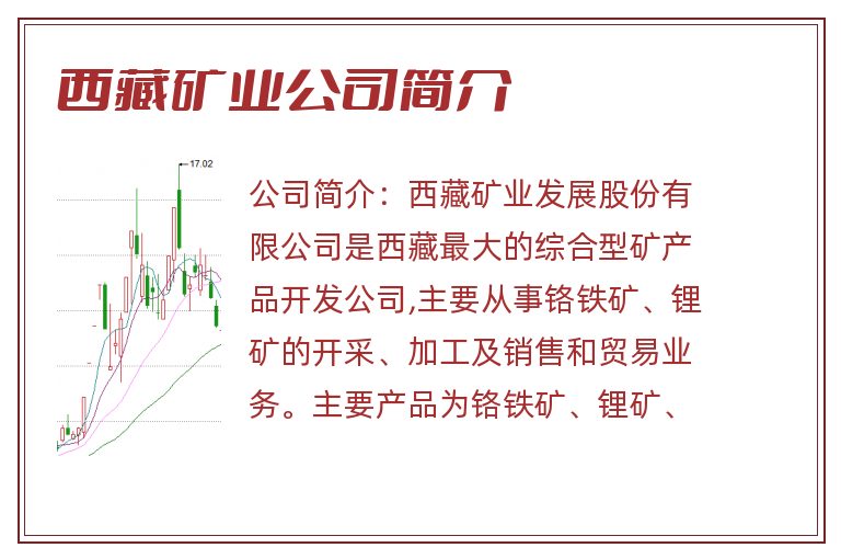 西藏矿业公司简介