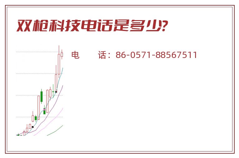 双枪科技电话是多少？