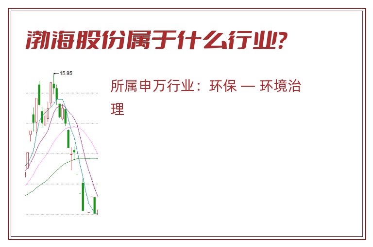 渤海股份属于什么行业？