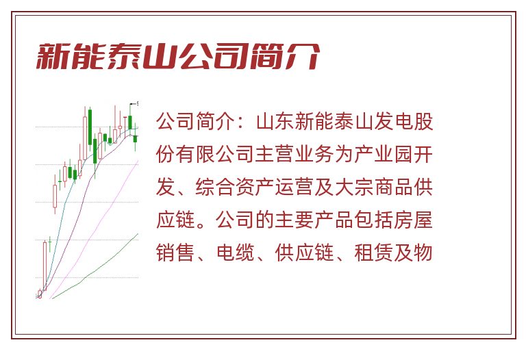 新能泰山公司简介