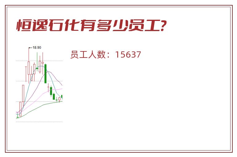 恒逸石化有多少员工?.jpg 恒逸石化.jpg