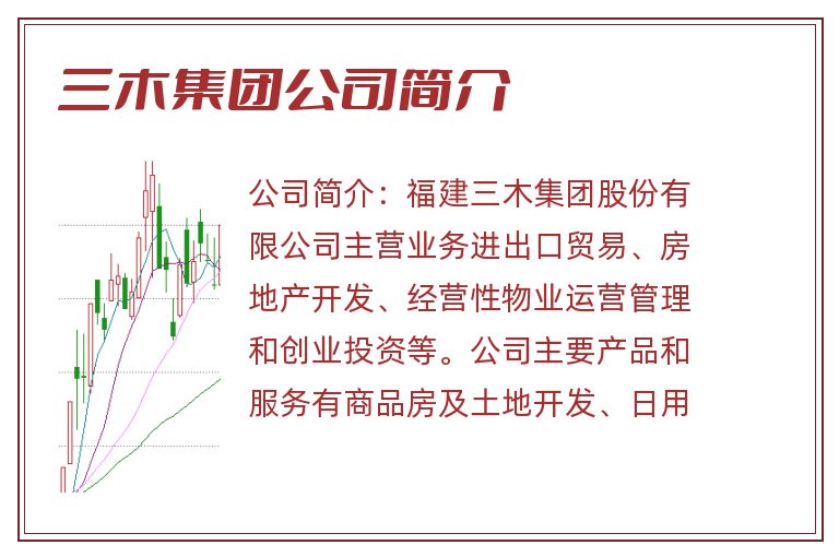 三木集团公司简介