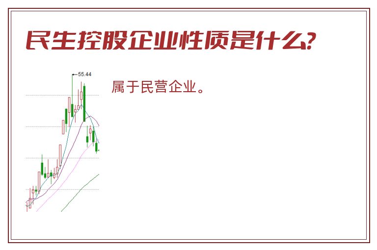 民生控股企业性质是什么？
