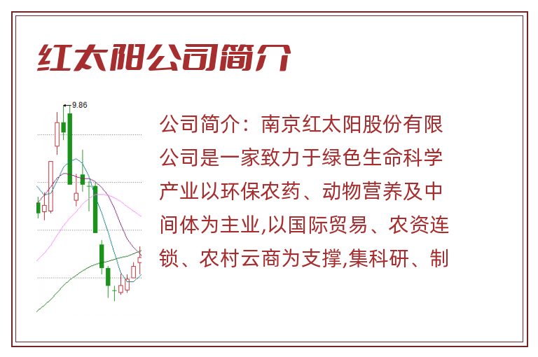 红太阳公司简介