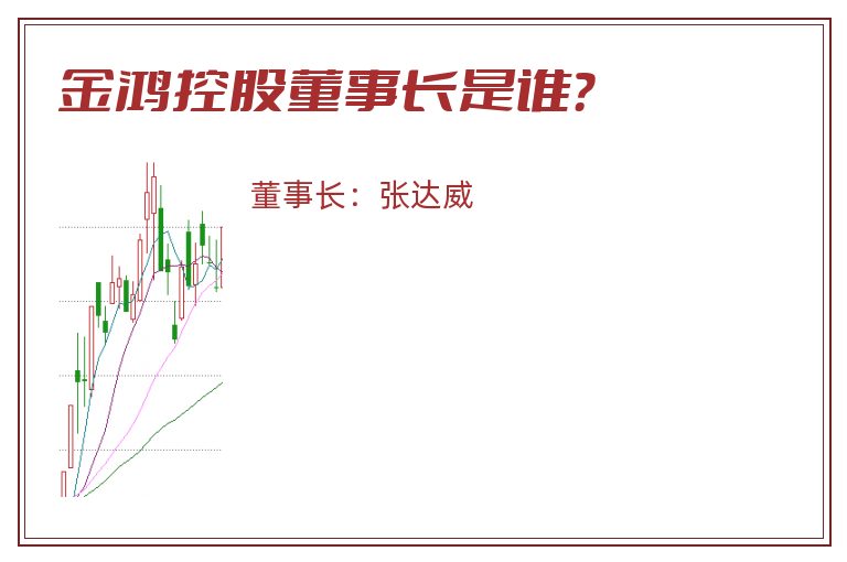 金鸿控股董事长是谁？