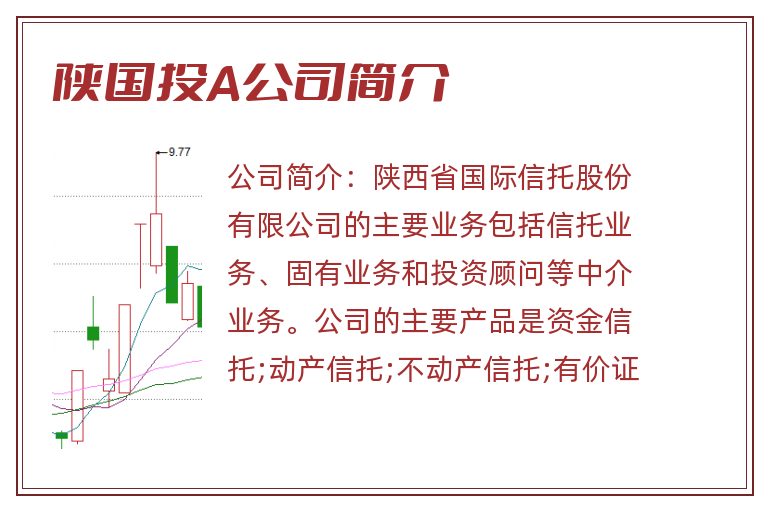 陕国投A公司简介
