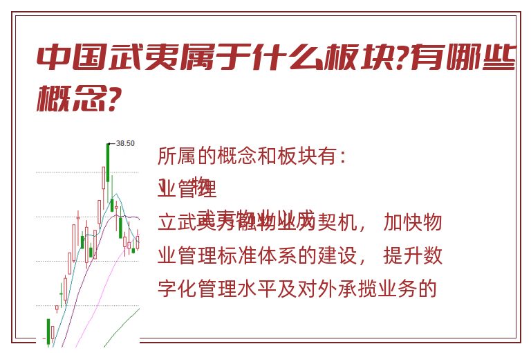 中国武夷属于什么板块?有哪些概念?.jpg 中国武夷.jpg