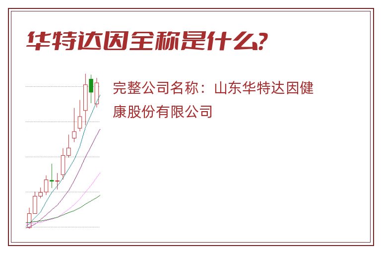 华特达因全称是什么？