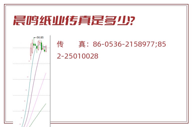 晨鸣纸业传真是多少?.jpg 晨鸣纸业.jpg