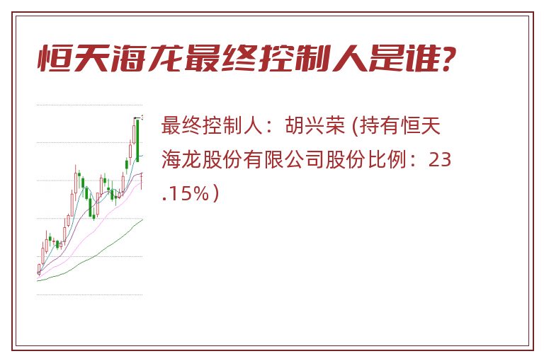 恒天海龙最终控制人是谁？