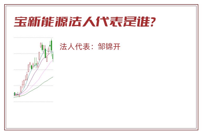宝新能源法人代表是谁？
