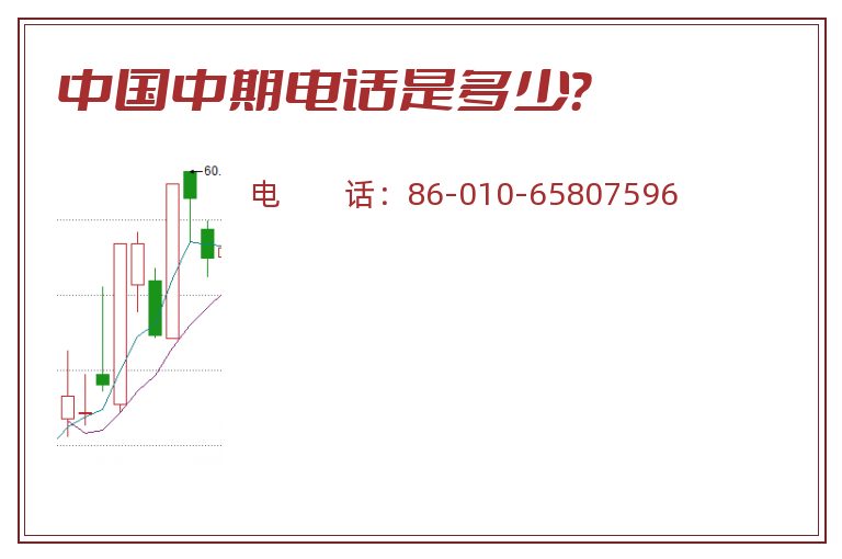 中国中期电话是多少？