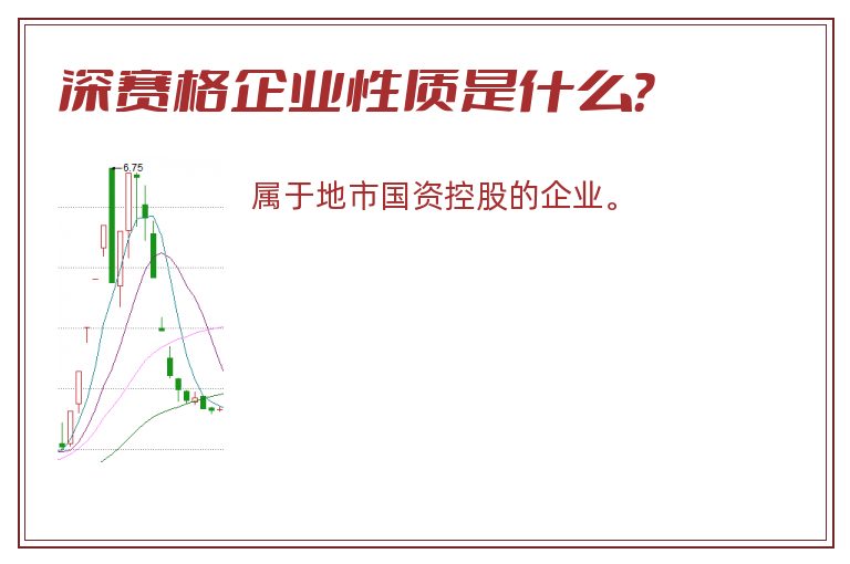深赛格企业性质是什么？