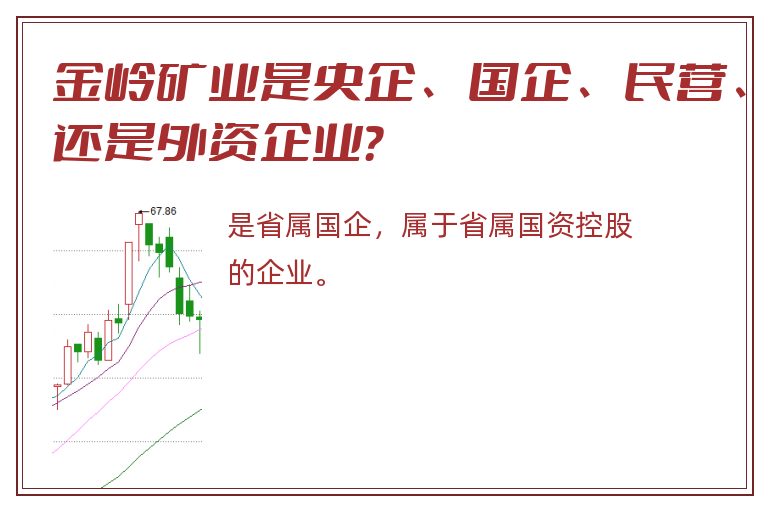 金岭矿业是央企、国企、民营、还是外资企业？