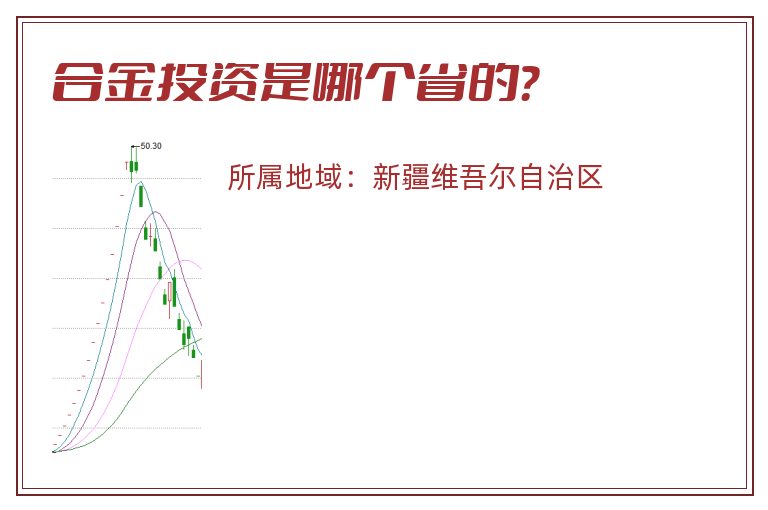 合金投资是哪个省的？