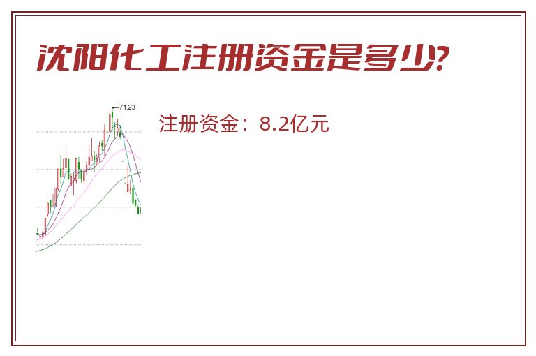 沈阳化工注册资金是多少？