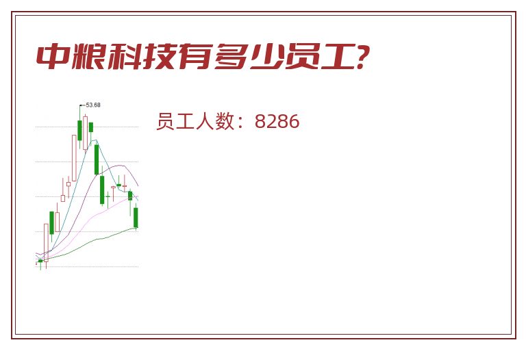 中粮科技.jpg