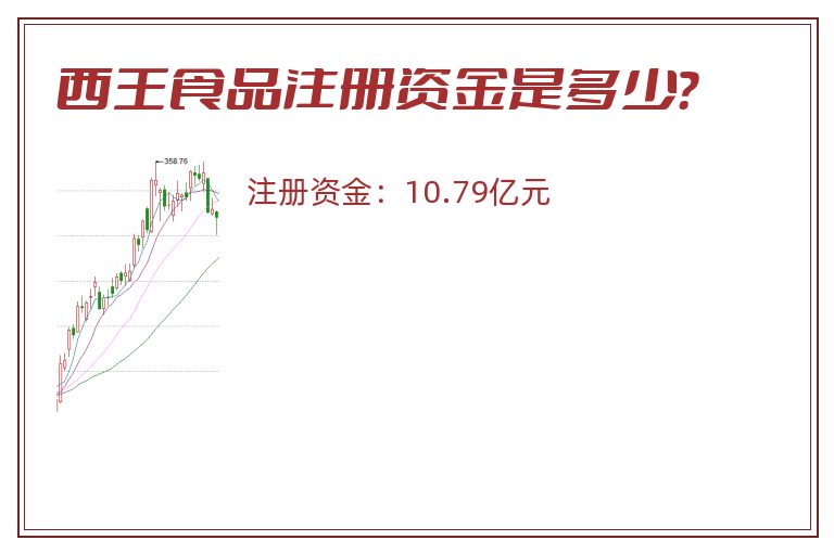 西王食品注册资金是多少？