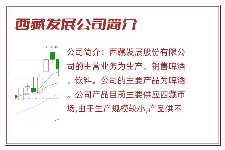 西藏发展公司简介