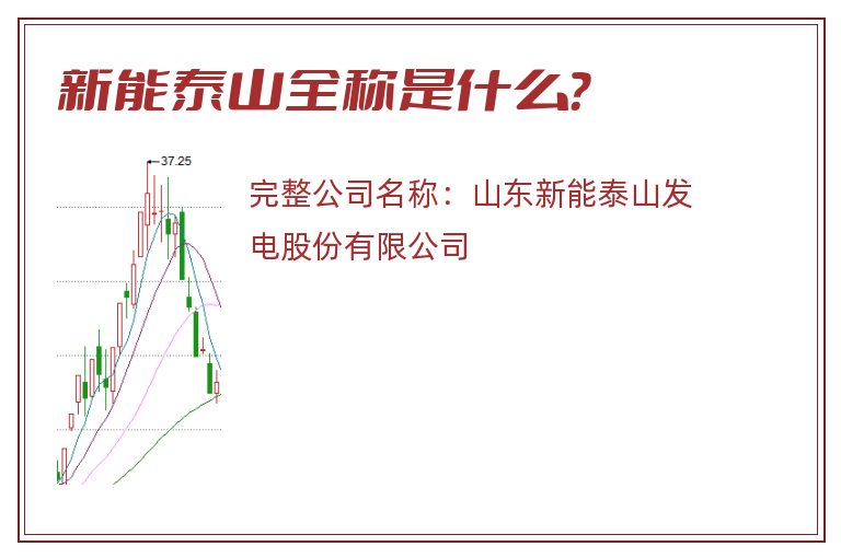 新能泰山全称是什么？