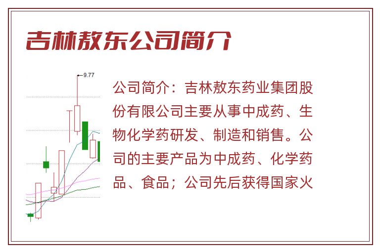 吉林敖东公司简介