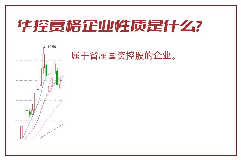 华控赛格企业性质是什么？