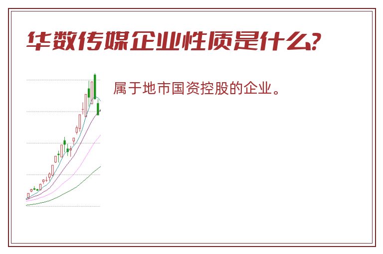 华数传媒企业性质是什么？