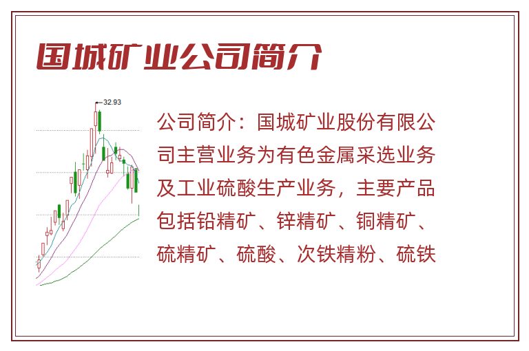 国城矿业公司简介