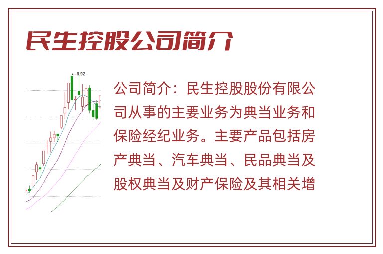民生控股公司简介