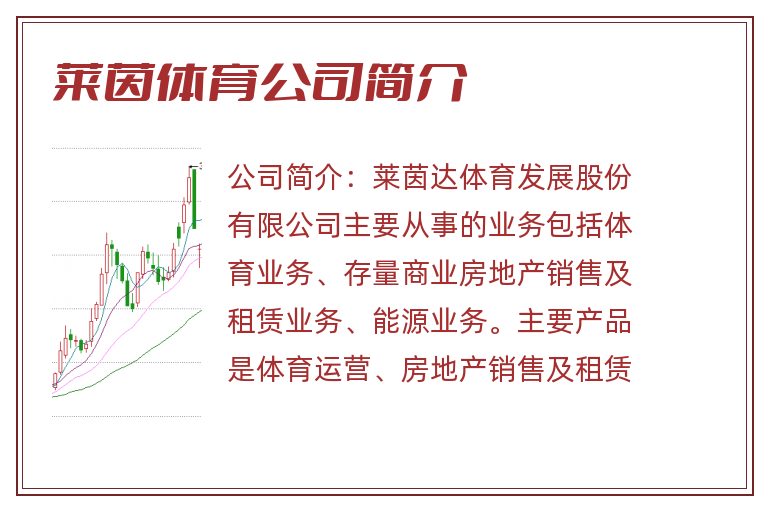 莱茵体育公司简介