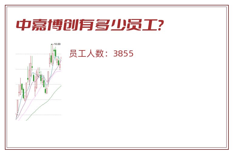 中嘉博创有多少员工?.jpg 中嘉博创.jpg