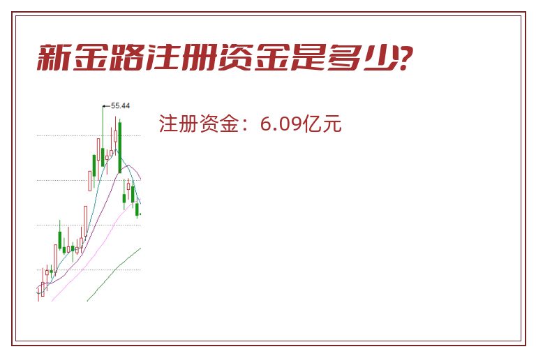 新金路注册资金是多少？
