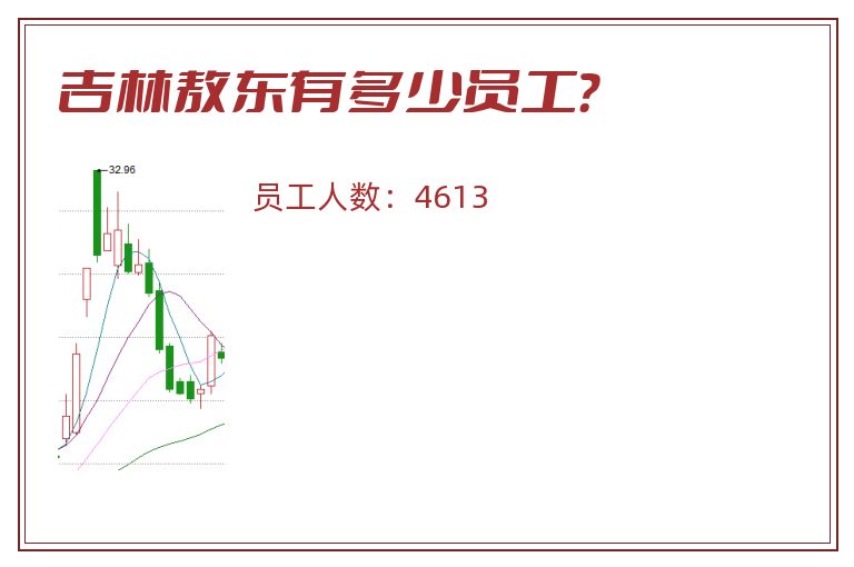 吉林敖东有多少员工？