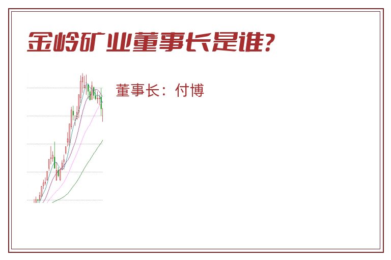 金岭矿业董事长是谁？