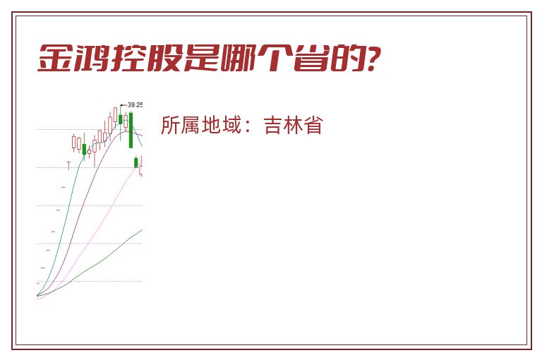 金鸿控股是哪个省的？