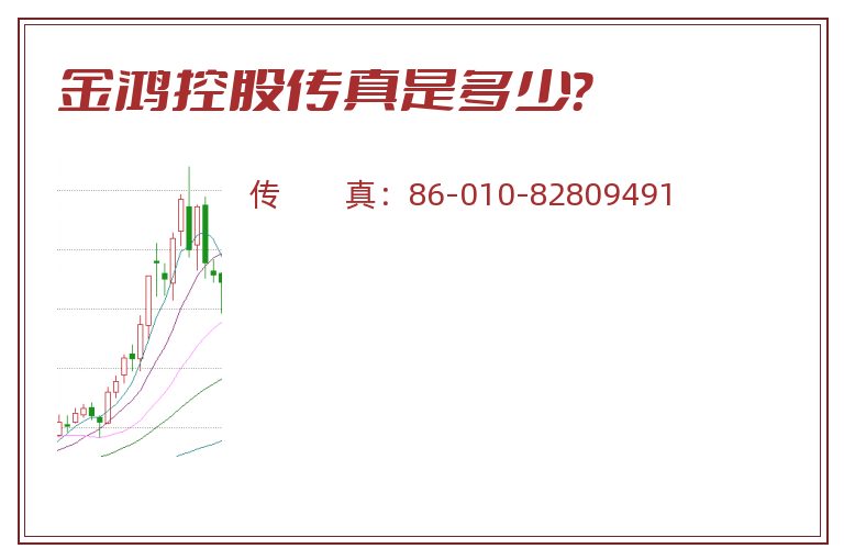 金鸿控股传真是多少?.jpg 金鸿控股.jpg