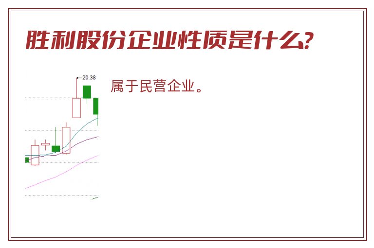 胜利股份企业性质是什么？