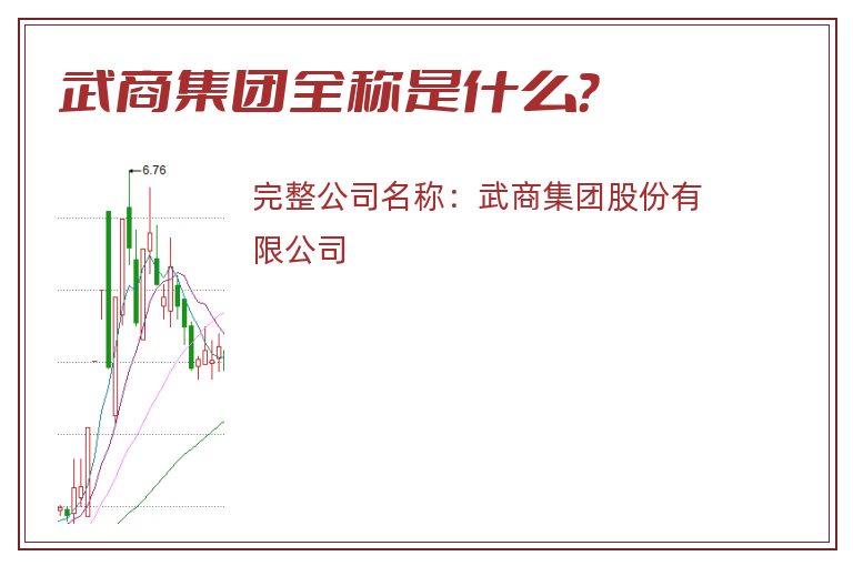 武商集团全称是什么？