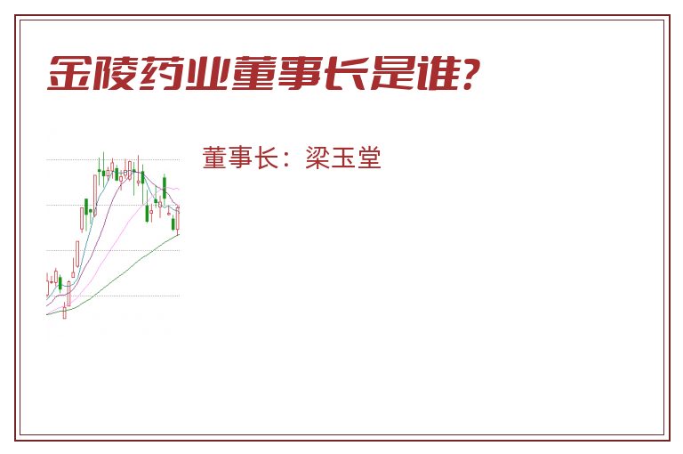 金陵药业董事长是谁？