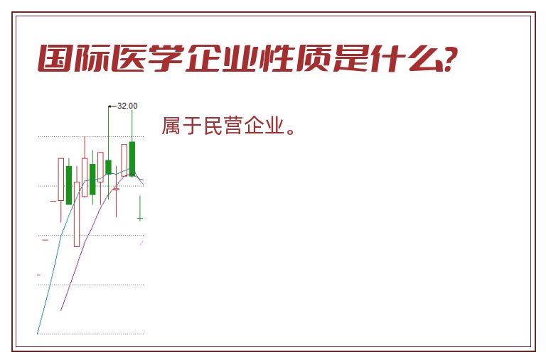 国际医学企业性质是什么？