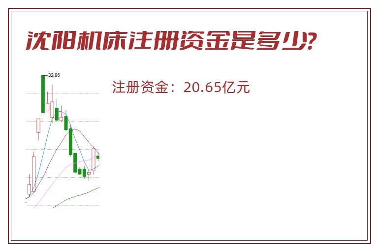 沈阳机床注册资金是多少？