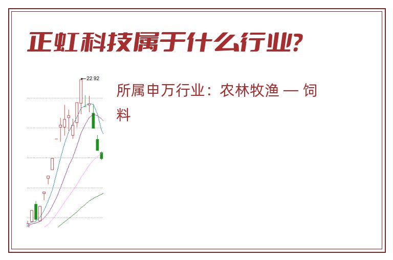 正虹科技属于什么行业?.jpg 正虹科技.jpg