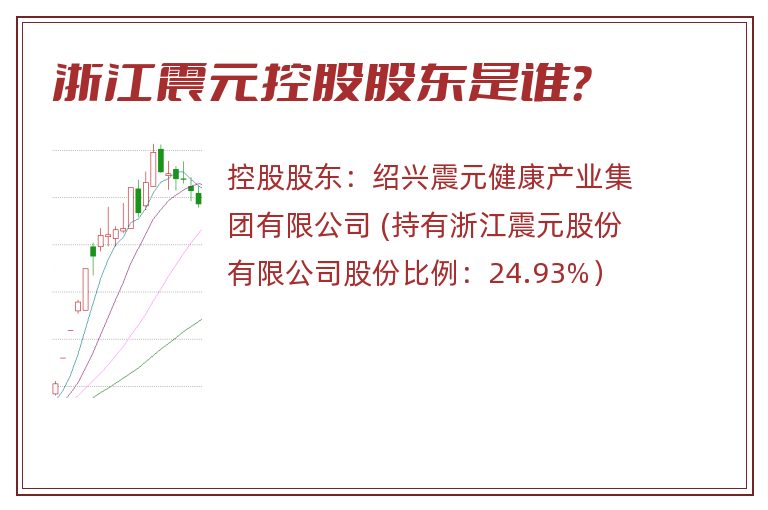 浙江震元控股股东是谁？
