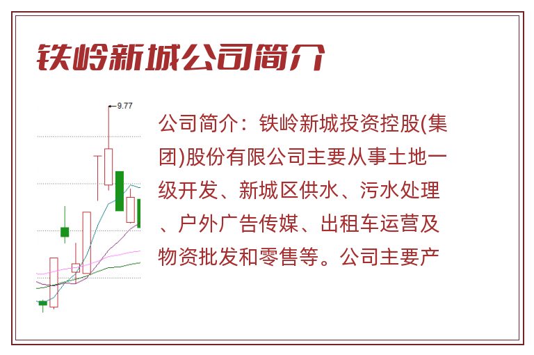 铁岭新城公司简介