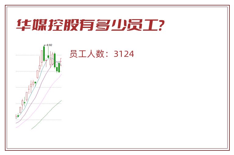 华媒控股有多少员工？