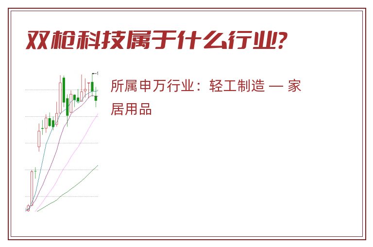 双枪科技属于什么行业？