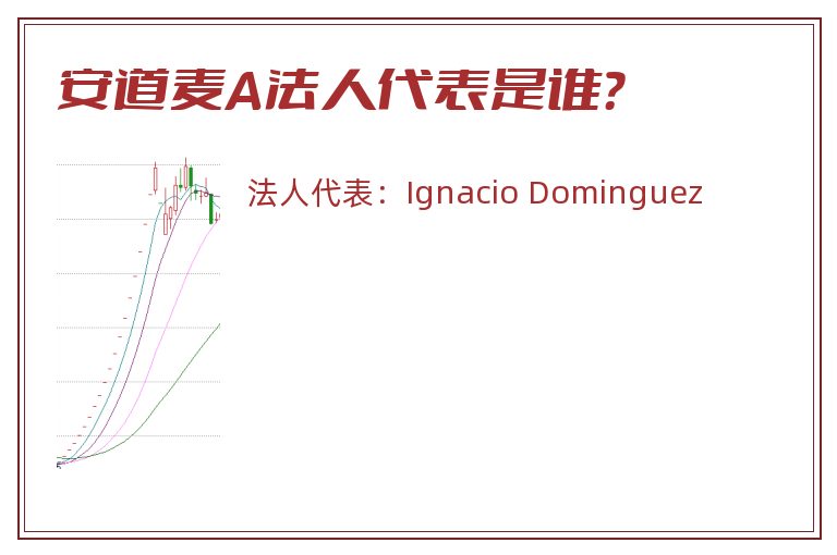安道麦A法人代表是谁?.jpg 安道麦A.jpg